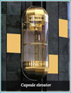 Capsule Elevator